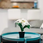 Casa de Férias La Palmera - Fabulosa Casa, Lanzarote, *