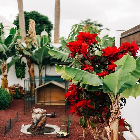 Casa de Férias La Palmera - Fabulosa Casa, Lanzarote, *