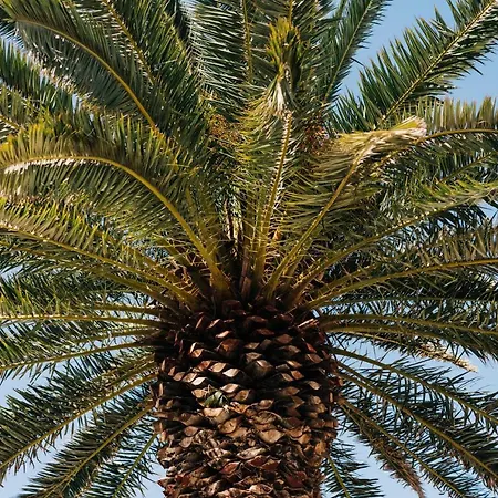 La Palmera - Fabulosa Casa, Lanzarote, Playa Honda (Lanzarote)