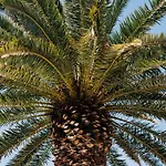 La Palmera - Fabulosa Casa, Lanzarote, Playa Honda (Lanzarote)