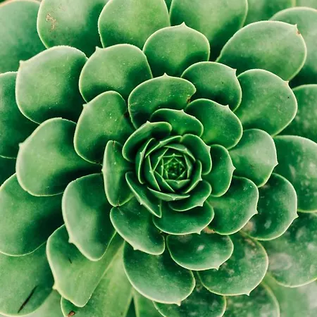 بيت للعطل La Palmera - Fabulosa Casa, Lanzarote,