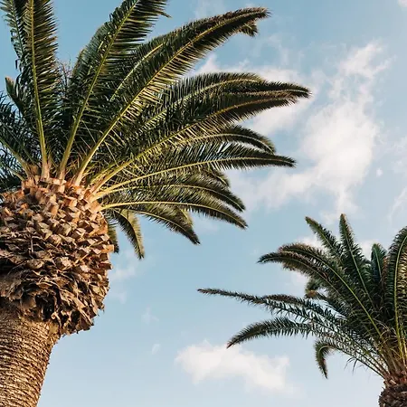 La Palmera - Fabulosa Casa, Lanzarote, Playa Honda *