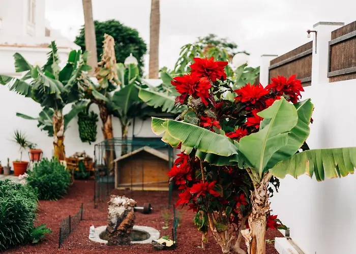 Дом отдыха La Palmera - Fabulosa Casa, Lanzarote, *