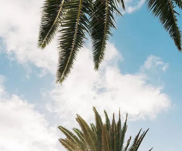 La Palmera - Fabulosa Casa, Lanzarote,