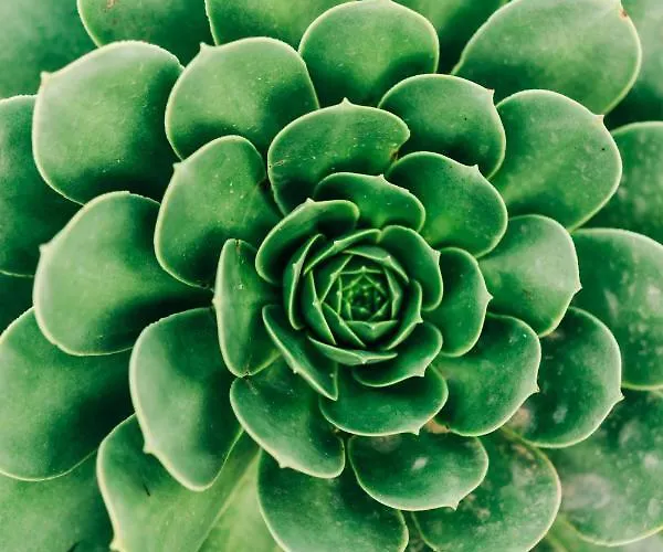 Hébergement de vacances La Palmera - Fabulosa Casa, Lanzarote,