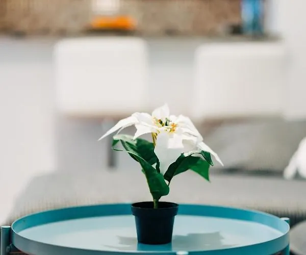 Дом отдыха La Palmera - Fabulosa Casa, Lanzarote, *