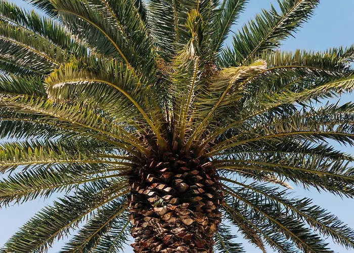 La Palmera - Fabulosa Casa, Lanzarote, Плайя-Онда