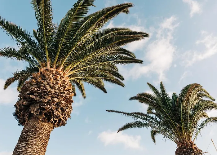 La Palmera - Fabulosa Casa, Lanzarote, *