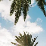 La Palmera - Fabulosa Casa, Lanzarote,